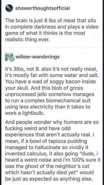 O showerthoughtsofficial The brain is just 8 Ibs of meat that sits in complete darkness and plays a video game of what it thinks is the most realistic thing ever willow wanderings its 3lbs not 8 also its not really meat its mostly fat with some water and salt You have a wad of soggy bacon inside your skull And this blob of gross unprocessed jello somehow manages to run a complex biomechanical suit