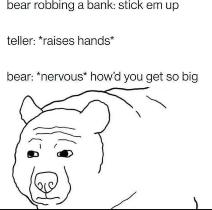 bear robbing a bank stick em up teller raises hands bear nervous howd you get so big