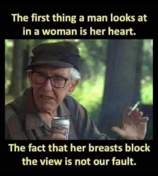 The first thing a man looks at in a woman is her heart a The fact that her breasts block the view is not our fault