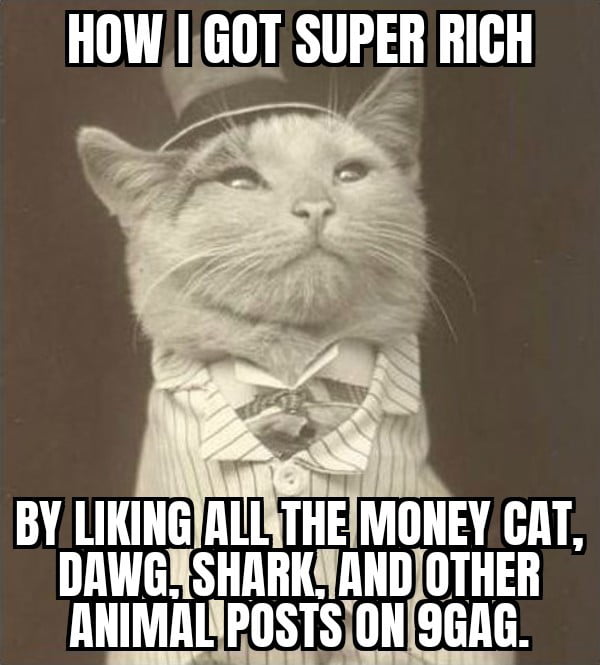 HOW I GOT SUPER RICH BY LIKING ALL THE MONEY CAT, DAWG, SHARK, AND OTHER ANIMAL POSTS ON 9GAG.