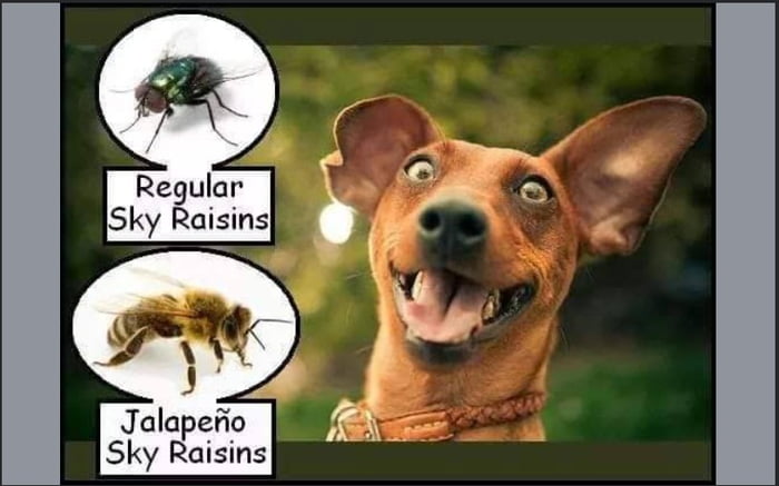 Regular Sky Raisins Jalapeño Sky Raisins