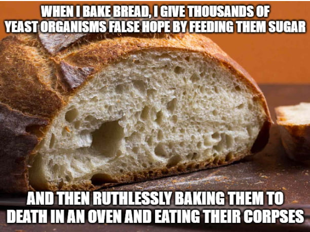 WHEN BAKE BREAD GIVE THOUSANDS OF YEAST ORGANISMS FALSE IIF BY FEEDING THEM SUGAR AND THEN RUTHLESSLY BAKING THEMTO DEATH IN AN OVEN AND ERTING THEIR CORPSES