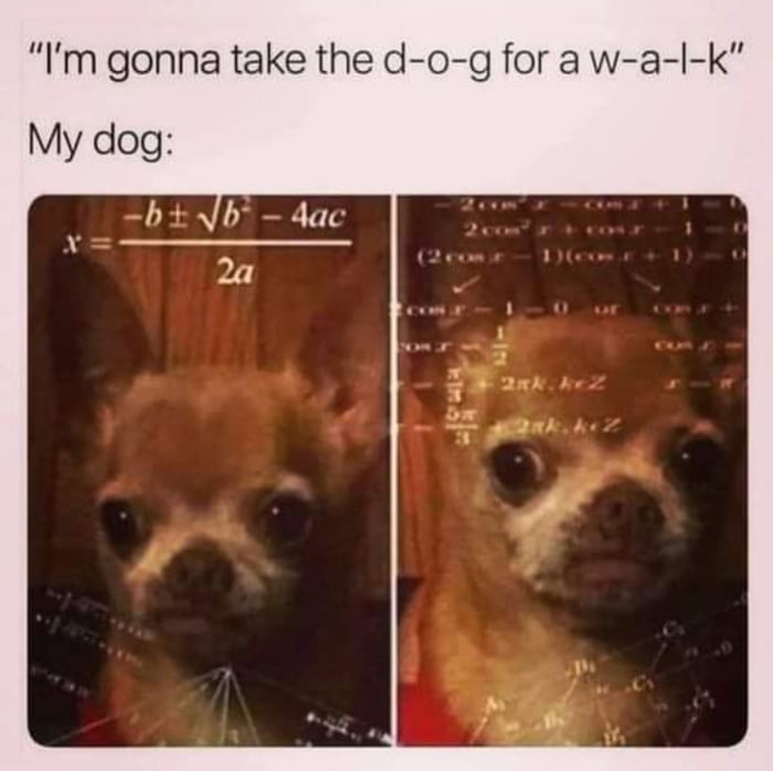 Im gonna take the d o g for a w a I k My dog