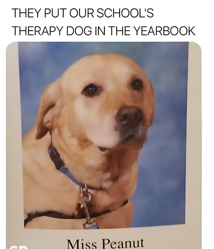 THEY PUT OUR SCHOOLS THERAPY DOG IN THE YEARBOOK