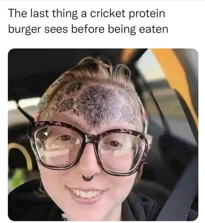 The last thing a cricket protein burger sees before being eaten