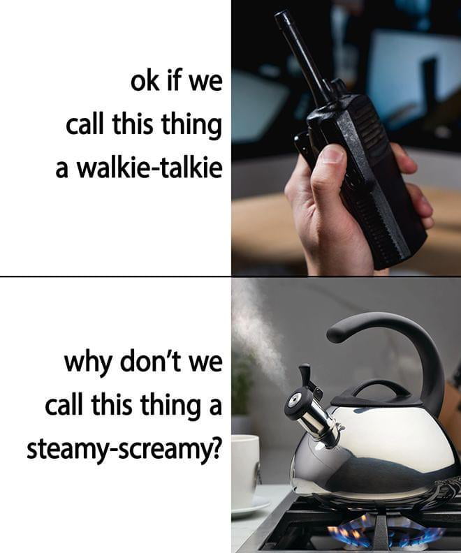 ok if we call this thing a walkie talkie why dont we call this thing a steamy screamy