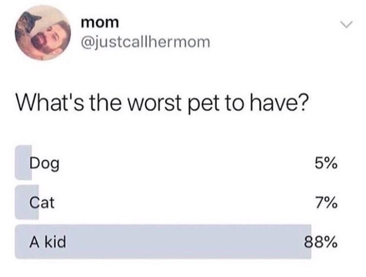 mom justcallhermom Whats the worst pet to have Dog 5 Cat 7 A kid 88