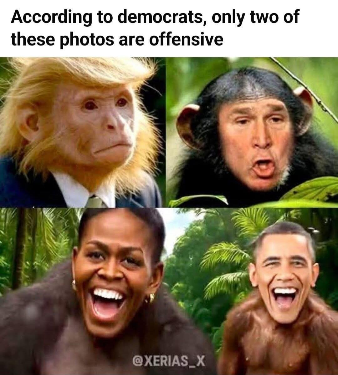 According to democrats, only two of these photos are offensive
