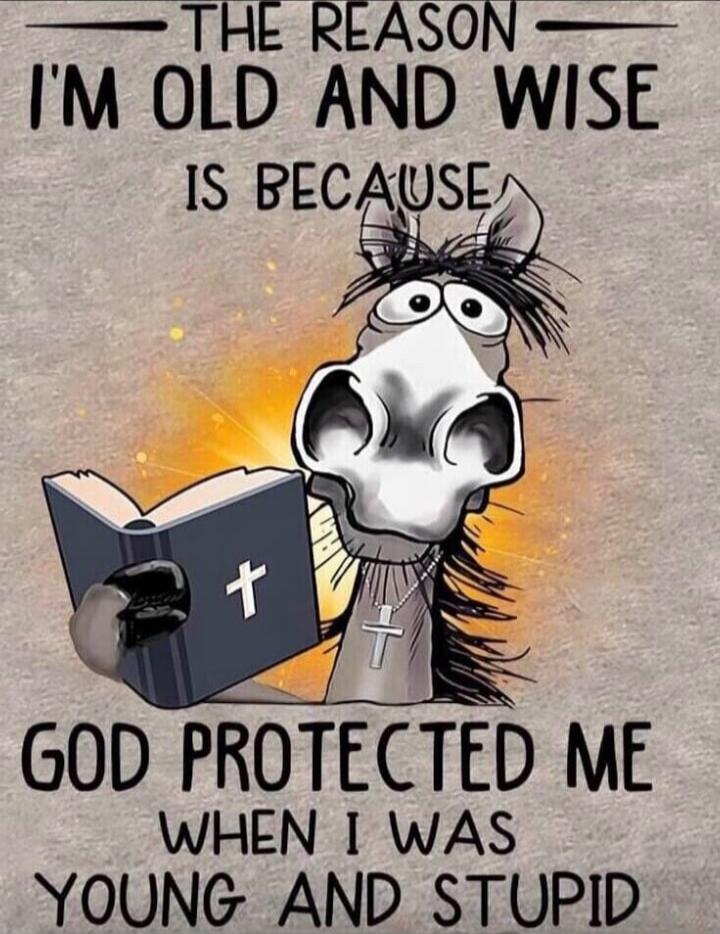 THE REASON I'M OLD AND WISE IS BECAUSE GOD PROTECTED ME WHEN I WAS YOUNG AND STUPID