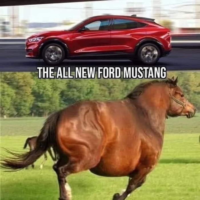 THE ALL NEWFORD MUSTANG