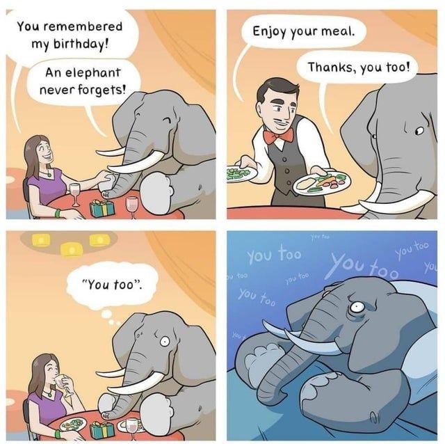 You remembered Enjoy your meal my birthday Woy Y An elephant Thanks you foo ___ never forgets