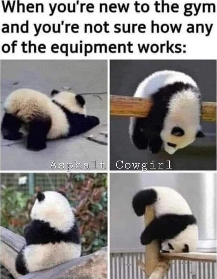 When you're new to the gym and you're not sure how any of the equipment works:\nAsphalt Cowgirl