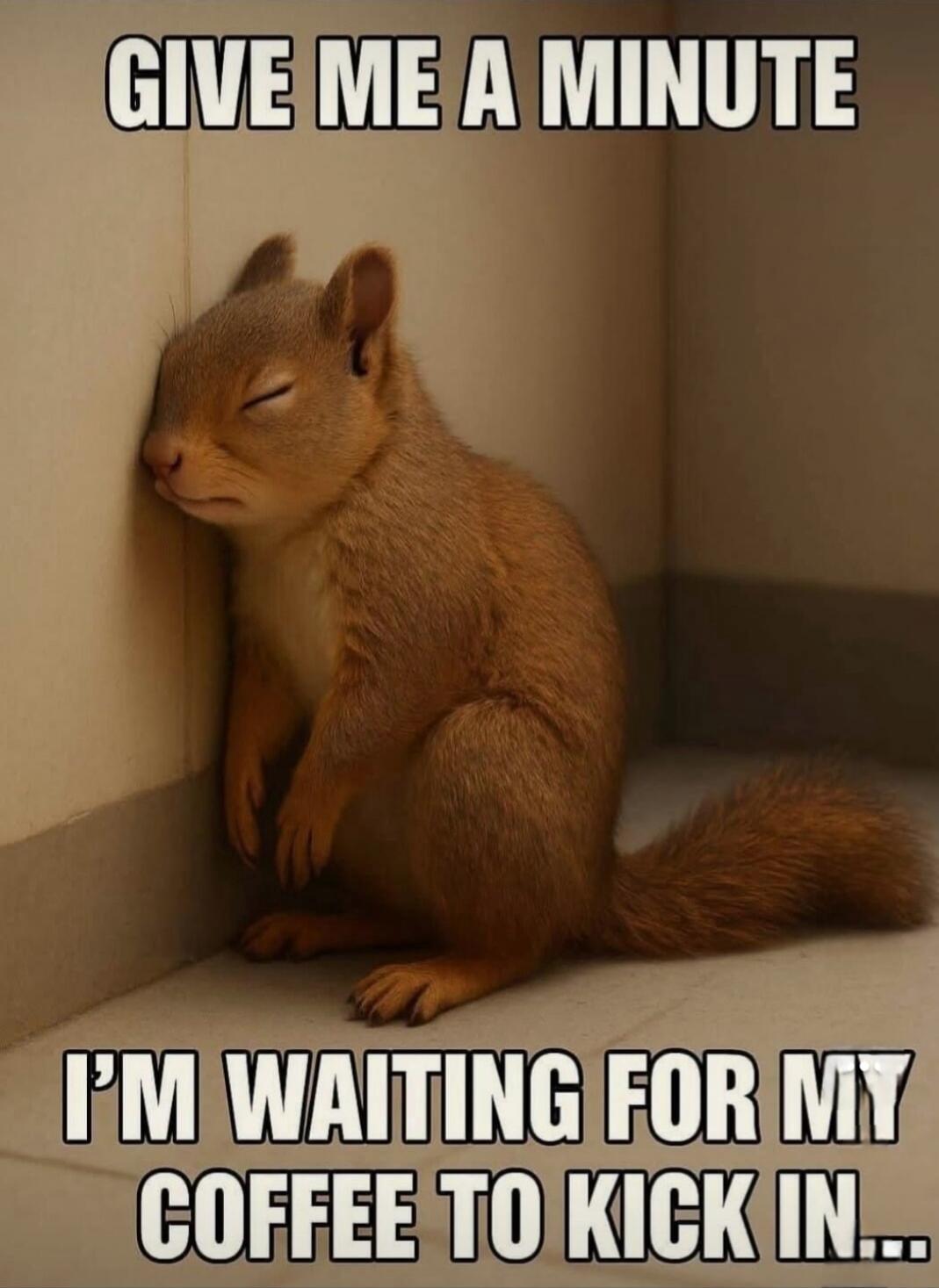 GIVE ME A MINUTE I'M WAITING FOR MY COFFEE TO KICK IN...