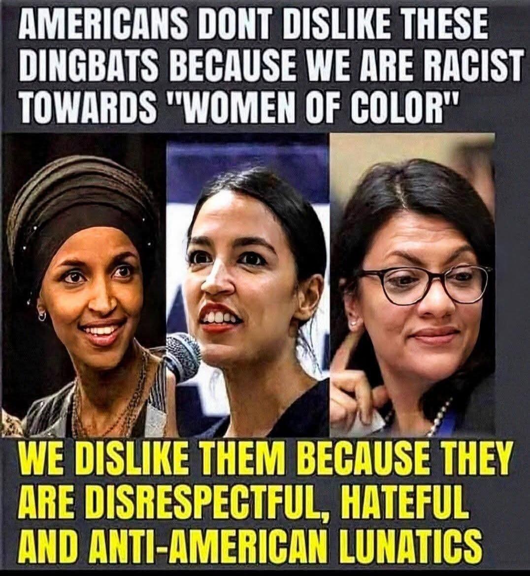 AMERICANS DONT DISLIKE THESE DINGBATS BECAUSE WE ARE RACIST TOWARDS 