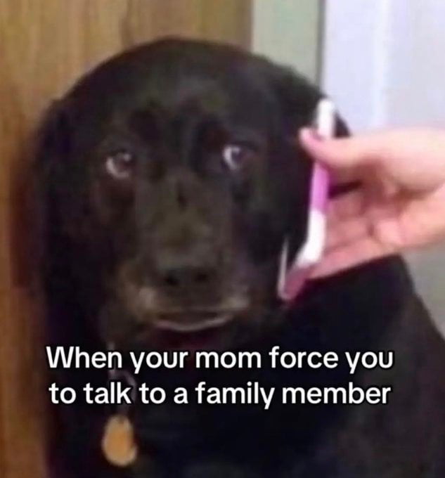 When your mom force you to talk to a family member