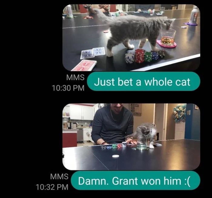 MMS 10:30 PM Just bet a whole cat MMS 10:32 PM Damn. Grant won him :(