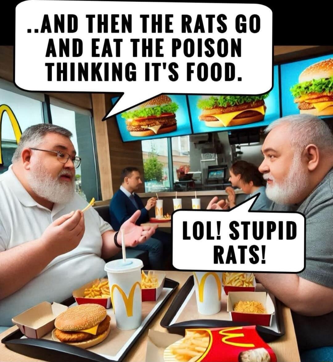 AND THEN THE RATS GO AND EAT THE POISON THINKING ITS FOOD i LOL STUPID