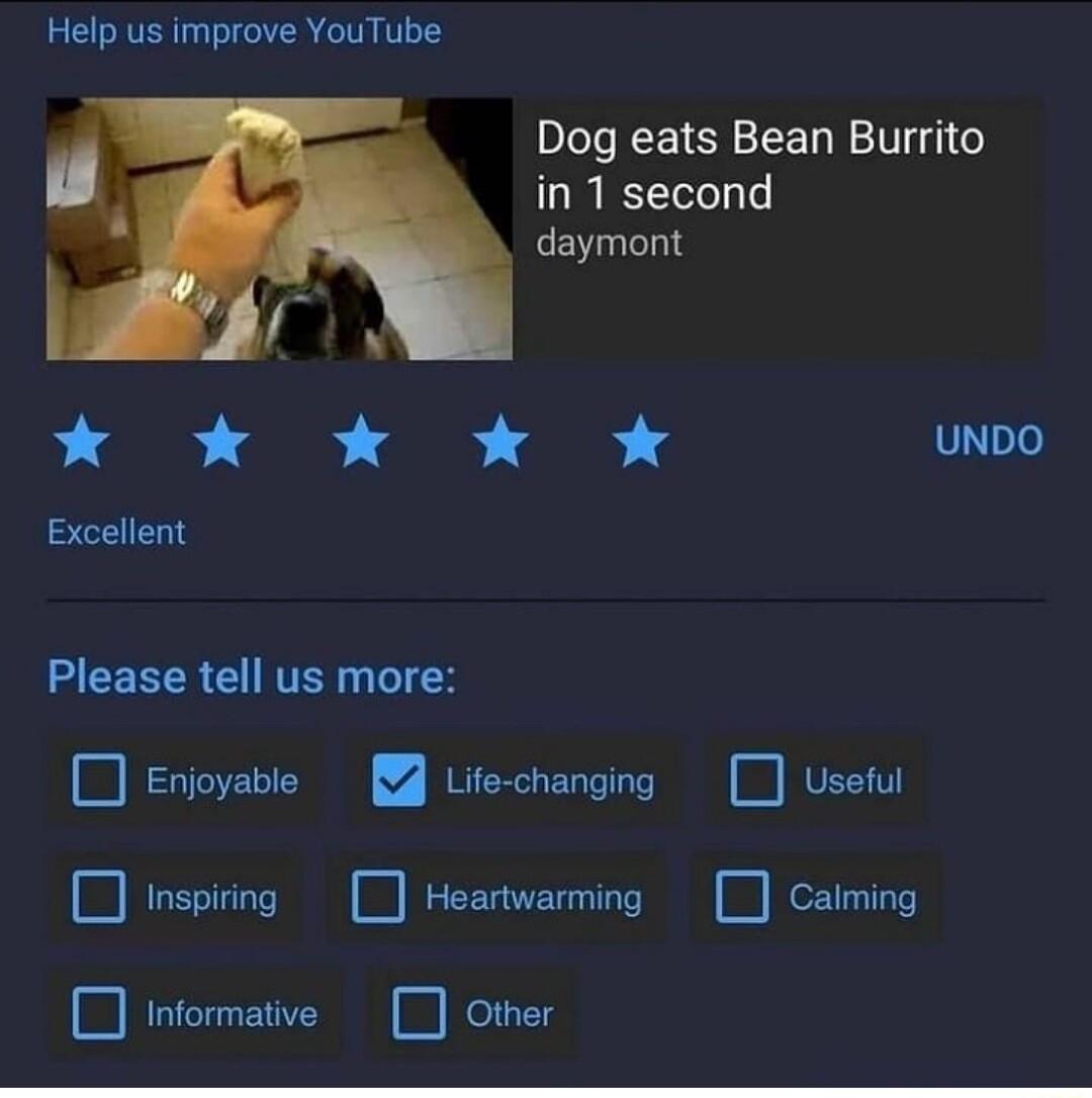 Help us improve YouTube Dog eats Bean Burrito in 1 second daymont x K K K UNDO Excellent Please tell us more Enioyavie Life changing Useful I T I i e nformative Other