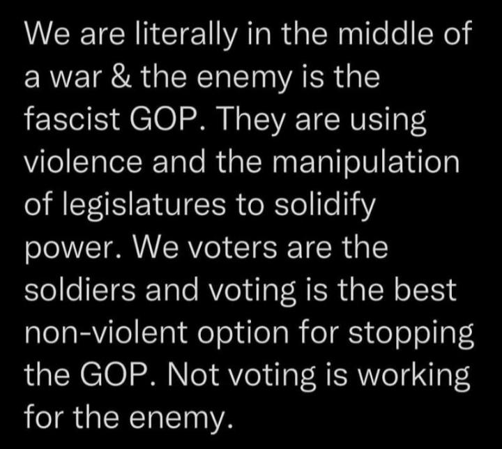 W EETCINCIE ARG Rl leXe awar the enemy is the fascist GOP They are using NleEIatel WTale MU TN Tl e IV EEYd o of legislatures to solidify power We voters are the soldiers and voting is the best non violent option for stopping the GOP Not voting is working LR GIERTLET YA