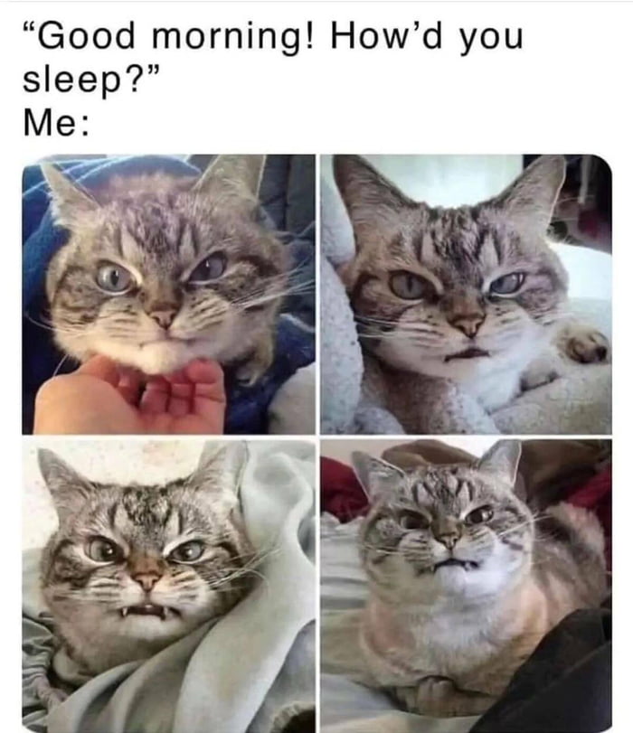 Good morning Howd you sleep Me