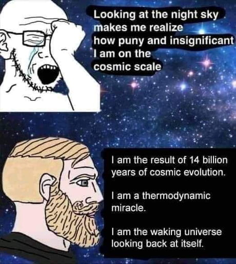 Looking at the night sky makes me realize how puny and msngnmcam NEL T LROL cosmic scale am the resuilt of 14 billion years of cosmic evolution T ER G T L T ET 1T miracle am the waking universe looking back at itself
