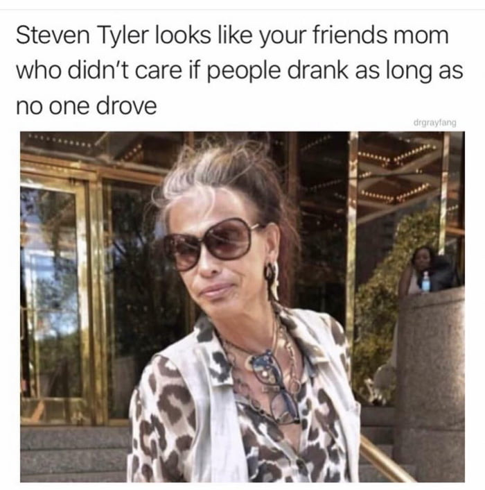 Steven Tyler looks like your friends mom who didnt care if people drank as long as no one drove