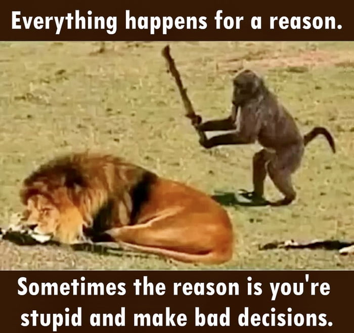 Everything happens for a reason Sometimes the reson is youre stupid and make bad decisions