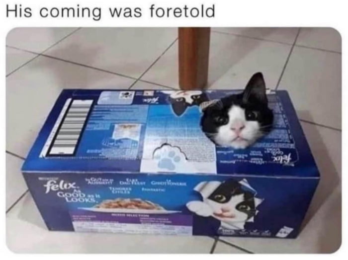His coming was foretold