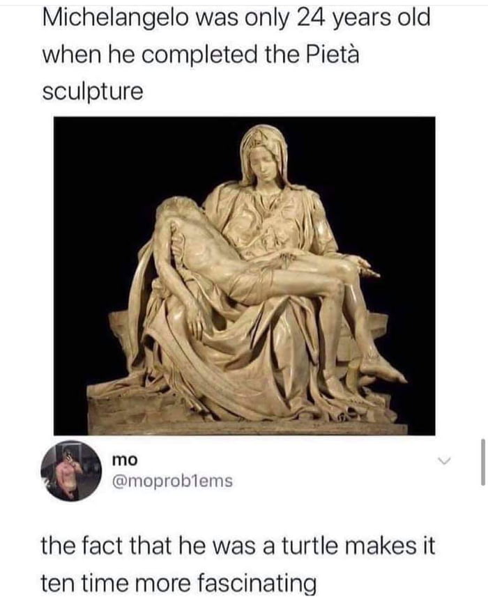 Michelangelo was only 24 years old when he completed the Pieta sculpture 0 moprobiems the fact that he was a turtle makes it ten time more fascinating