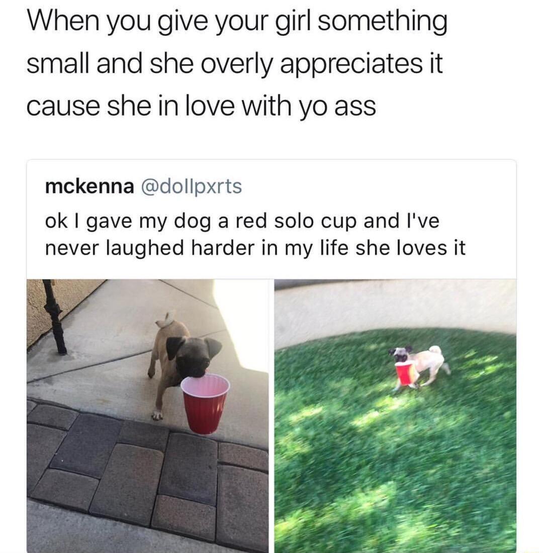 When you give your girl something small and she overly appreciates it cause she in love with yo ass mckenna dollpxrts ok gave my dog a red solo cup and Ive never laughed harder in my life she loves it