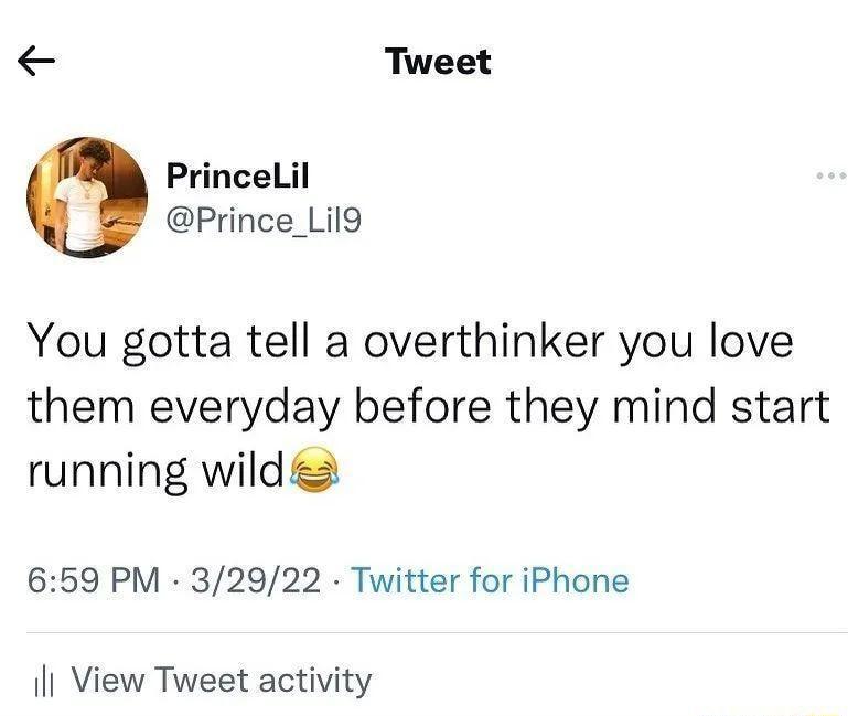 Tweet Princelil Prince_Lil9 You gotta tell a overthinker you love them everyday before they mind start running wildes 659 PM 32922 Twitter for iPhone l View Tweet activity