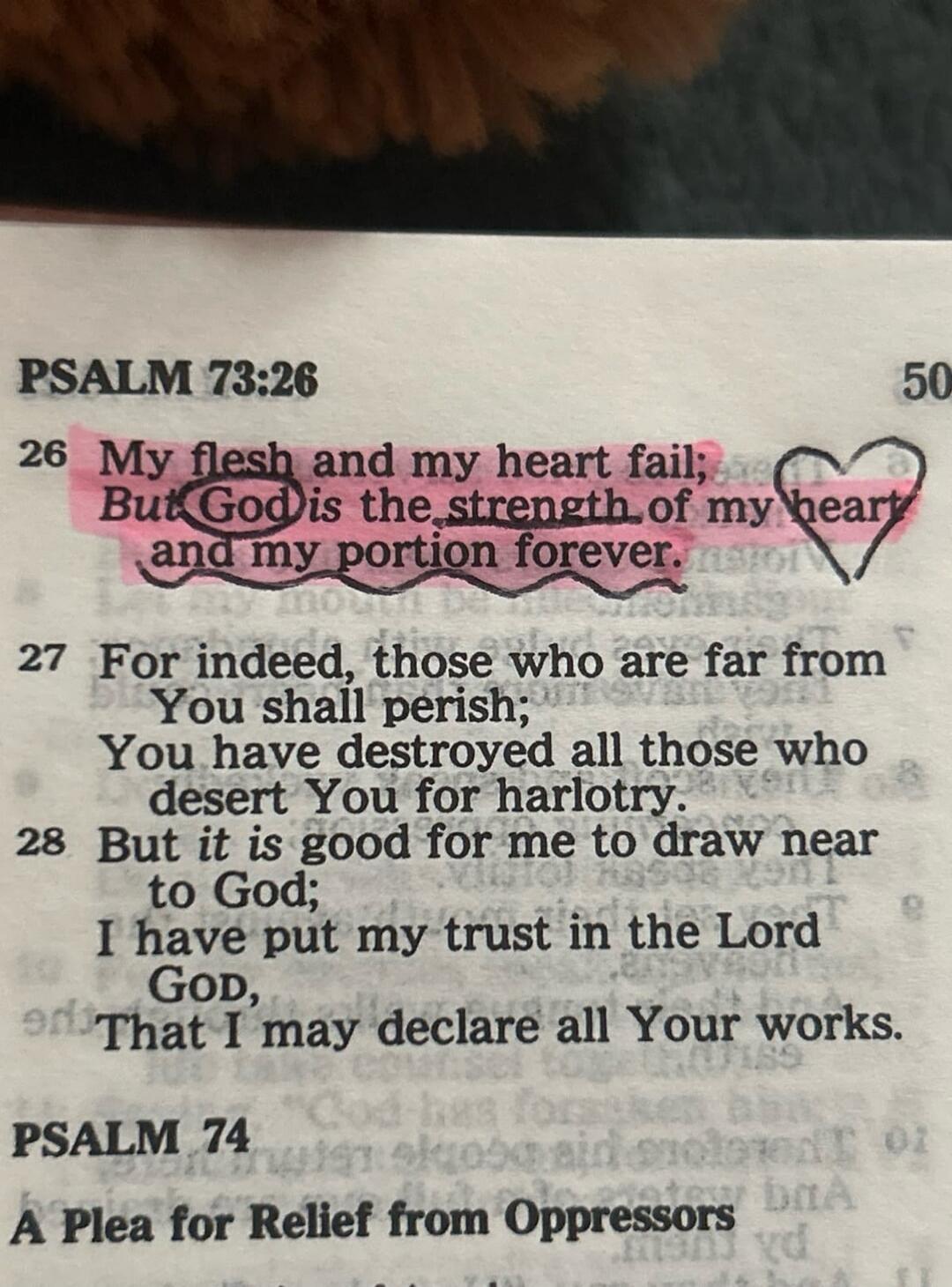 PSALM 73:26 26 My flesh and my heart fail; But God is the strength of my heart and my portion forever. 27 For indeed, those who are far from You shall perish; You have destroyed all those who desert You for harlotry. 28 But it is good for me to draw near to God; I have put my trust in the Lord God, That I may declare all Your works. PSALM 74 A Plea