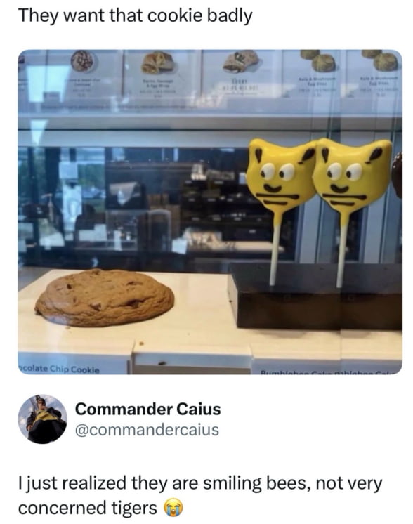 They want that cookie badly. chocolate Chip Cookie. Commander Caius. @commandercaius. I just realized they are smiling bees, not very concerned tigers.