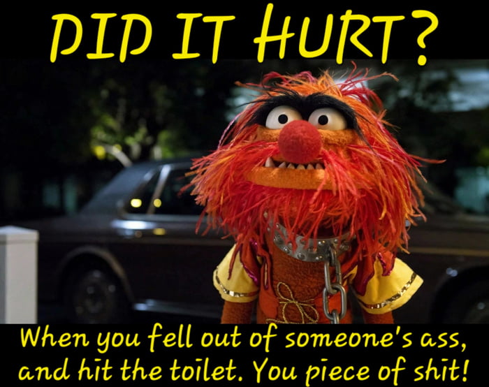 DID IT HURT? When you fell out of someone's ass, and hit the toilet. You piece of shit!