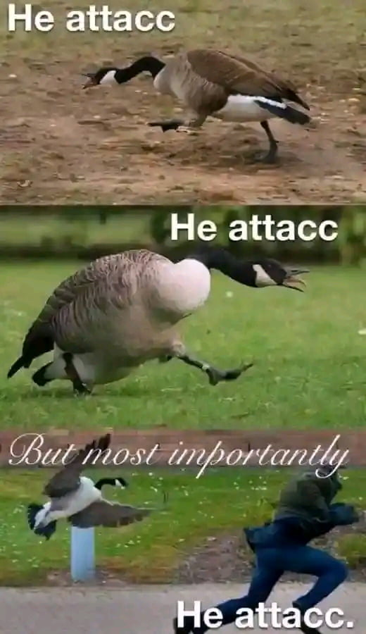 Bt zoarywmzt e gt