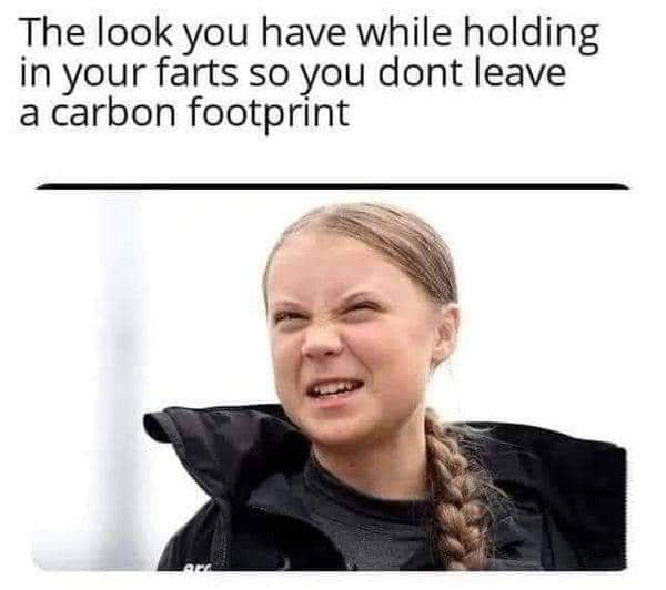 The look you have while holding in your farts so you dont leave a carbon footprint