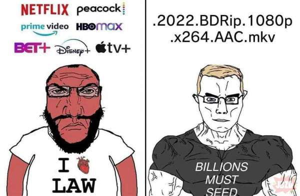 NETFLIX peacock pinevides oo 2022BDRip1080p BETH ty x264AACmkv BILLIONS MUST
