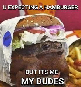 EXPCTING AHAMBURGER BUTITSME 1 MYDUDES