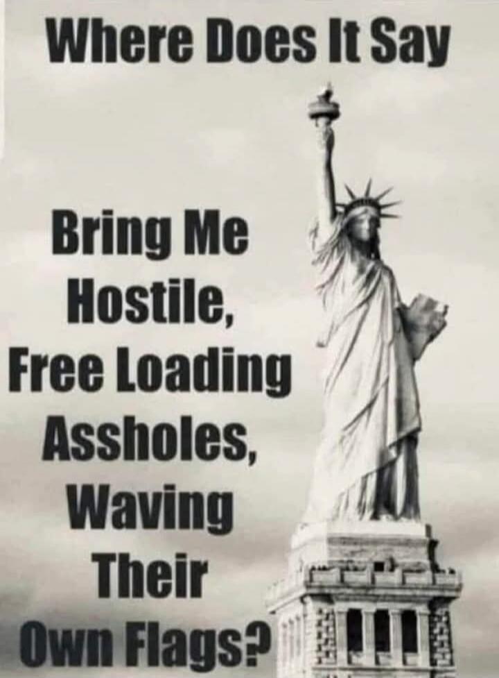 Where Does It Say Bring Me Hostile, Free Loading Assholes, Waving Their Own Flags?