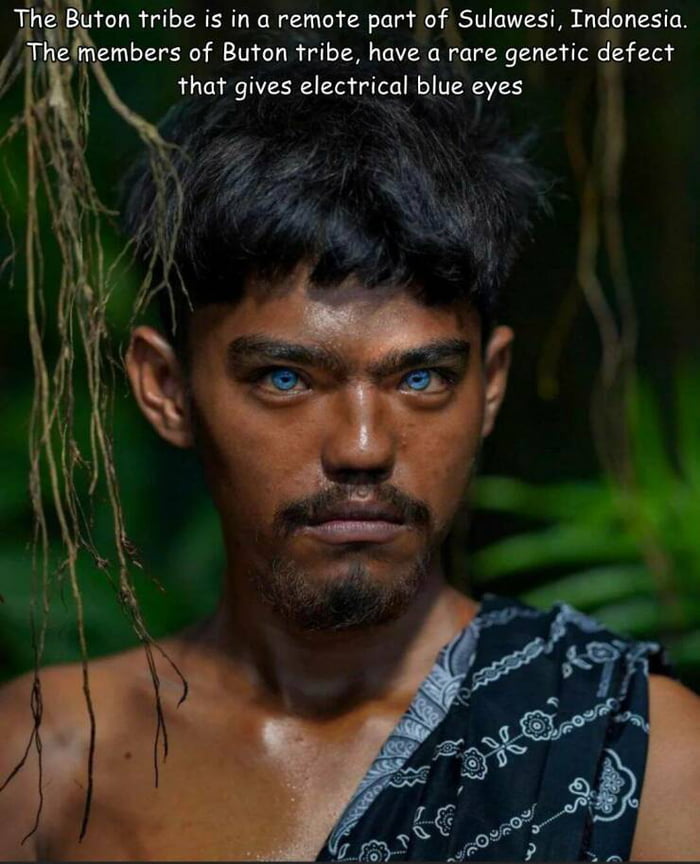 Thton tribe is in a remote part of Sulawesi Indonesia Thefmembers of Buton tribe have a rare genetic defect 1 that gives electrical blue eyes b