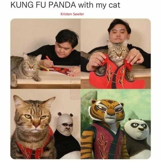 KUNG FU PANDA with my cat