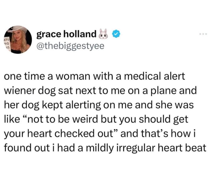 grace holland ke thebiggestyee one time a woman with a medical alert wiener dog sat next to me on a plane and her dog kept alerting on me and she was like not to be weird but you should get your heart checked out and thats how i found out i had a mildly irregular heart beat