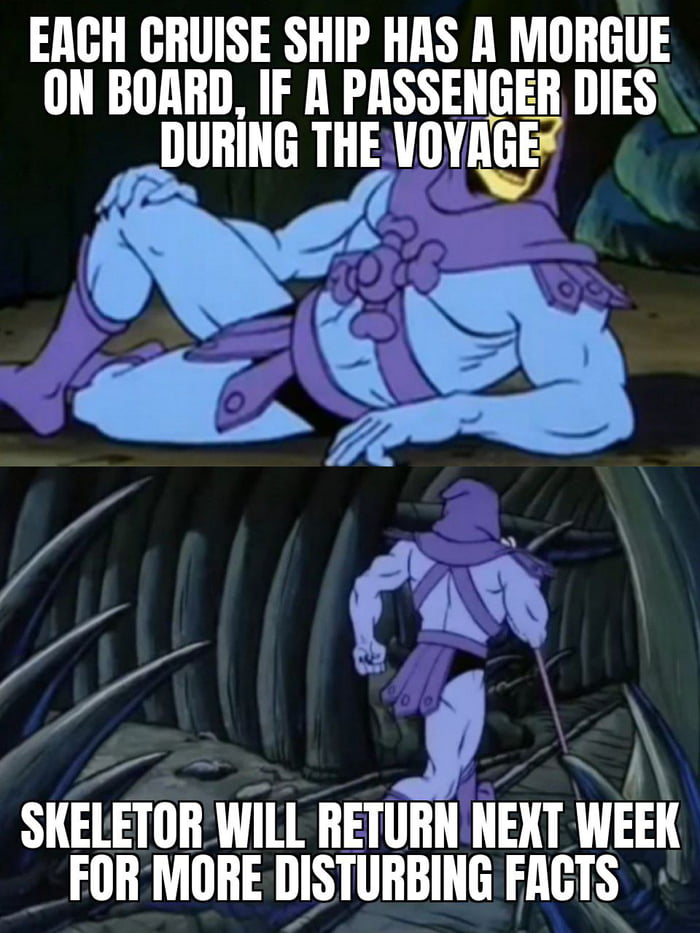 EACH CRUISE SHIP HAS A MORGUE ON BOARD IF A PASSENGER DIES IJUBIIIG THE VOYIGF SKELETOR WILL RETURN NEXT WEEK FOR MORE DISTURBING FACTS