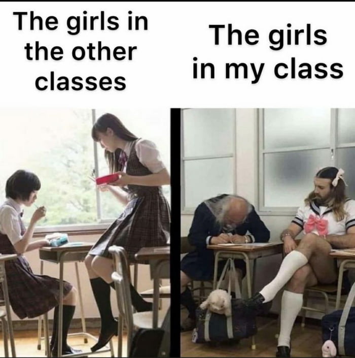 The girls in the other classes The girls in my class
