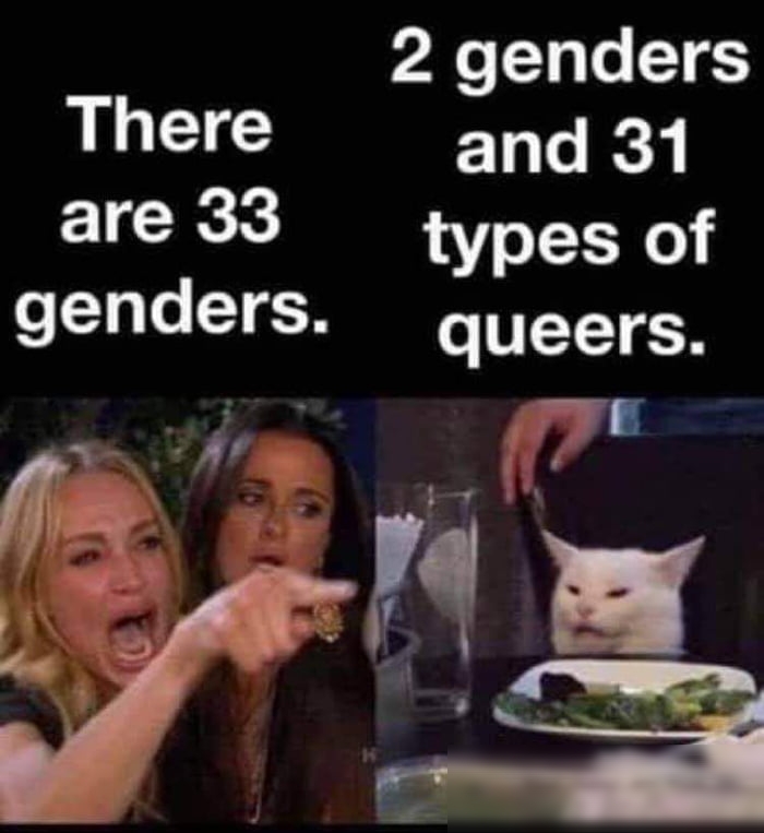 2 genders There and 31 genders queers 7