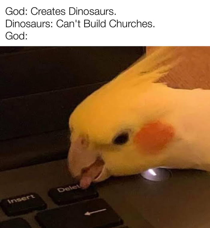 God Creates Dinosaurs Dinosaurs Cant Build Churches God