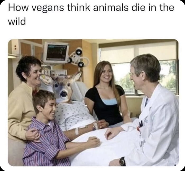 How vegans think animals die in the A wild