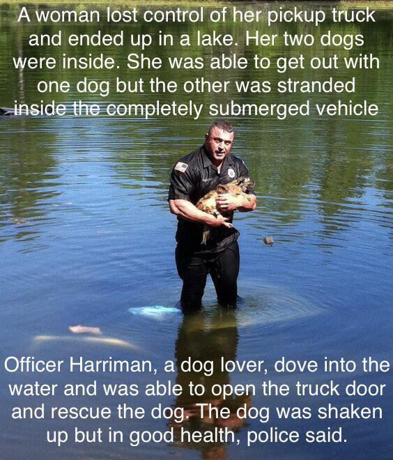 A woman lost control of herpickup truck ETalo T o STo MV o MTa RB 1 I o TR e o oo were inside She was able to get out with one dog but the other was stranded insidestheeompletely submerged vehicle i 2 _ 0iileTR S ETde g ETo M Wolole MIeAVT oo 0 VoR ol R water and was able to open the truck door and rescue the dog The dog was shaken 7ol oV gWofololo Mat F1 g Wi o o ITel RSE 1T0 B