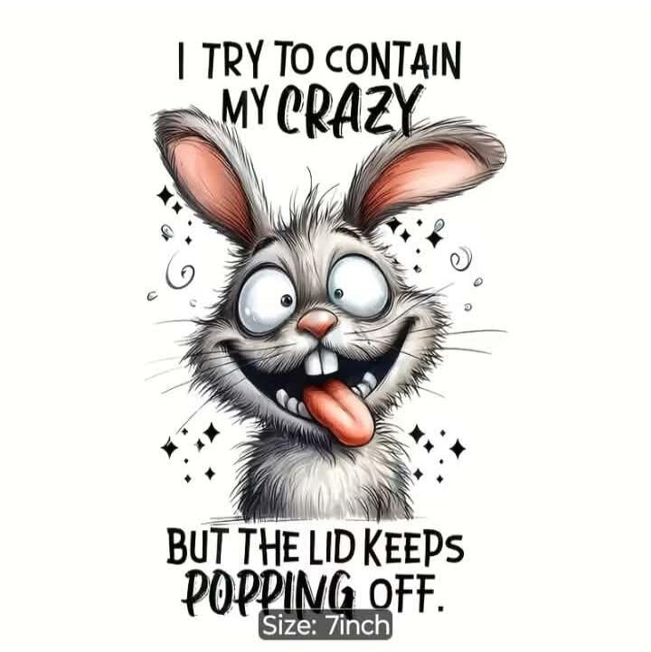 I TRY TO CONTAIN MY CRAZY BUT THE LID KEEPS POPPING OFF. Size: 7inch