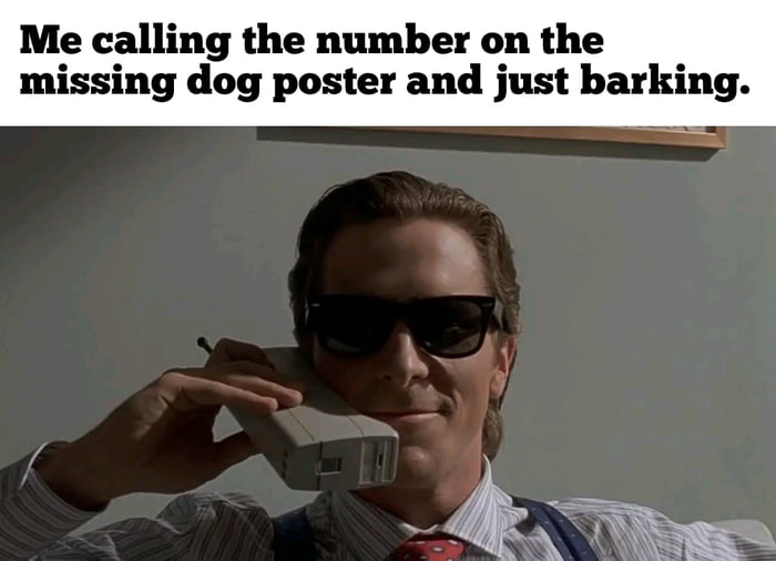 Me calling the number on the missing dog poster and just barkin